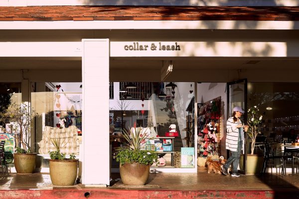 Store Images of Collar & Leash Bel-Air location